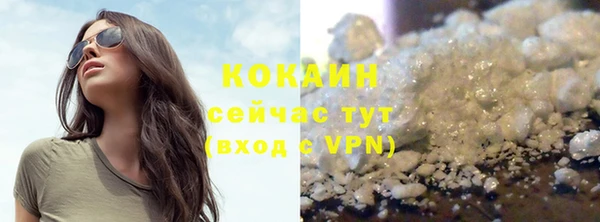 шишки Бронницы