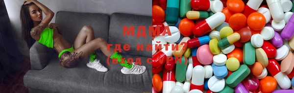 ГАЛЛЮЦИНОГЕННЫЕ ГРИБЫ Верея