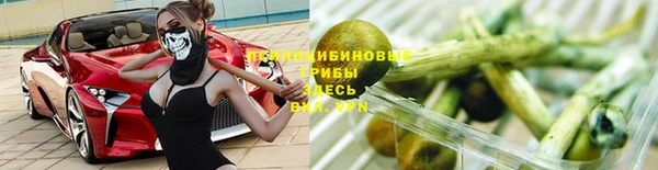 сатива Лиски