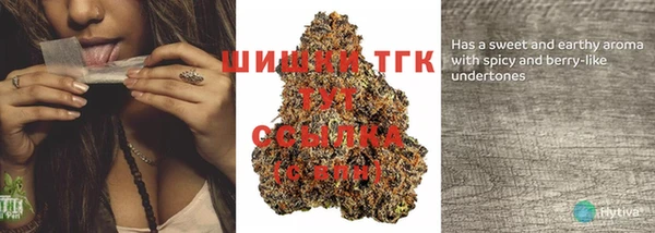 стаф Верхний Тагил