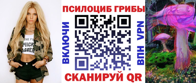 продажа наркотиков  Вытегра  Псилоцибиновые грибы прущие грибы 