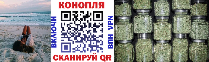 МАРИХУАНА план  купить наркоту  Вытегра 